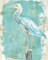 Coastal Egret II v2 Poster Print by Sue Schlabach - Item # VARPDX27157